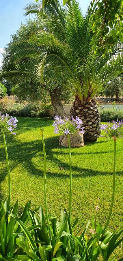 Masseria Cesarina B&B Castellana Grotte Zewnętrze zdjęcie