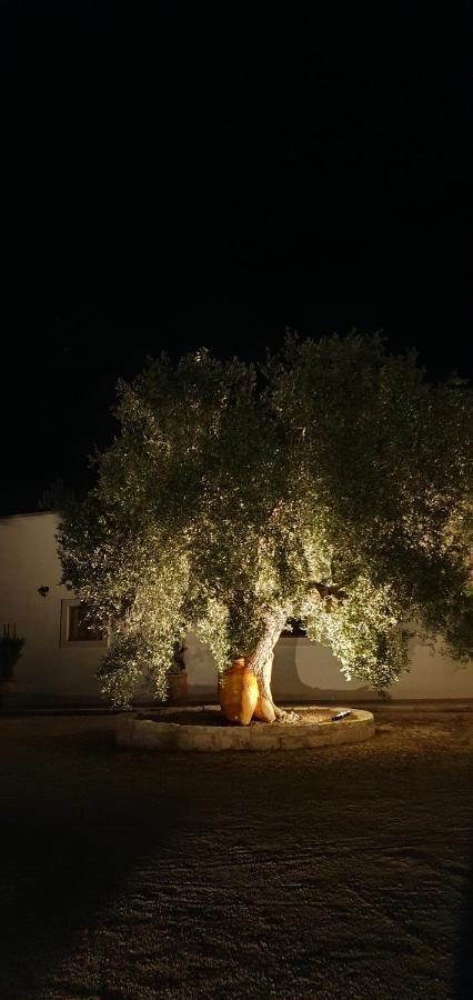 Masseria Cesarina B&B Castellana Grotte Zewnętrze zdjęcie